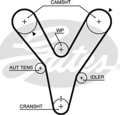 Gates 5584XS - Зубчатый ремень ГРМ unicars.by