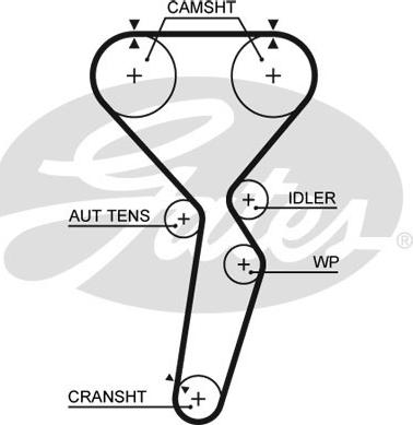 Gates 5585XS - Зубчатый ремень ГРМ unicars.by