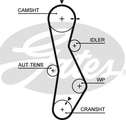 Gates 5579XS - Зубчатый ремень ГРМ unicars.by