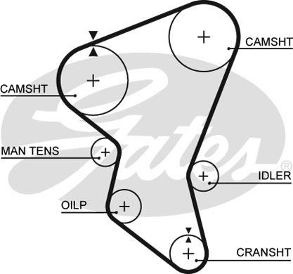 Gates 5171XS - Зубчатый ремень ГРМ unicars.by