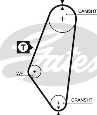 GATES-SEA T081 - Зубчатый ремень ГРМ unicars.by