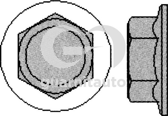 Guarnitauto 701005-1022 - Комплект болтов головки цилиндра unicars.by