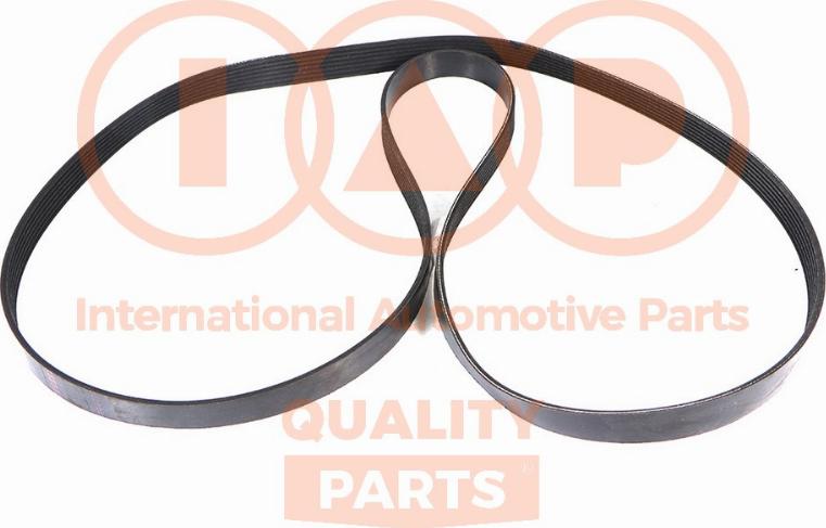 IAP QUALITY PARTS 140-17161 - Поликлиновой ремень unicars.by