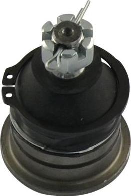 Kavo Parts SBJ-6526 - Шаровая опора, несущий / направляющий шарнир unicars.by