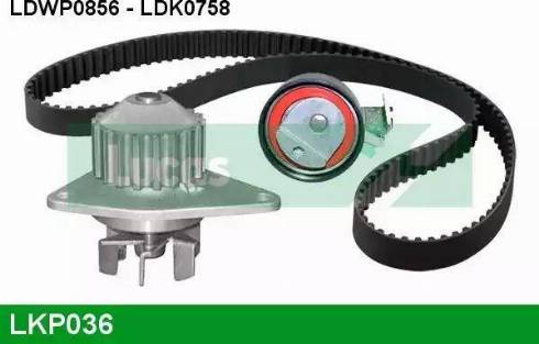 Lucas Engine Drive LKP036 - Водяной насос + комплект зубчатого ремня ГРМ unicars.by