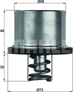 MAHLE TX 37 79 - Термостат охлаждающей жидкости / корпус unicars.by