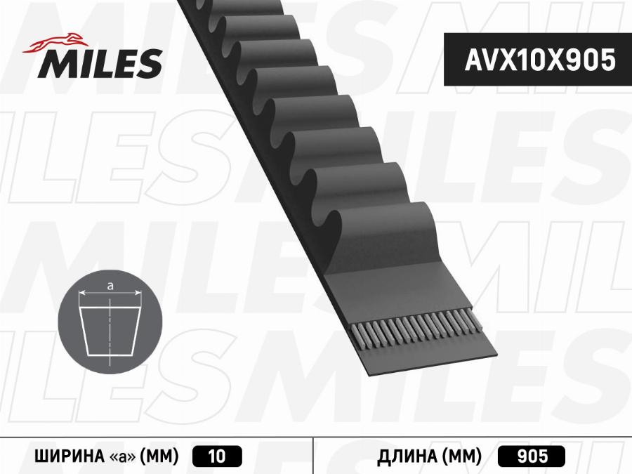 Miles AVX10X905 - Клиновой ремень, поперечные рёбра unicars.by