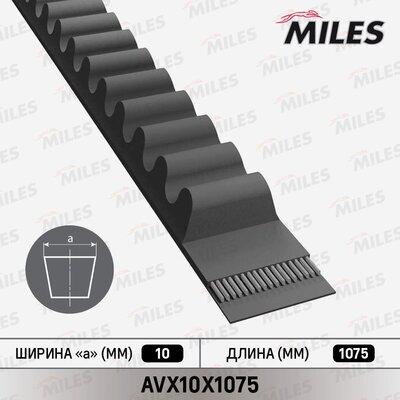 Miles AVX10X1075 - Клиновой ремень, поперечные рёбра unicars.by