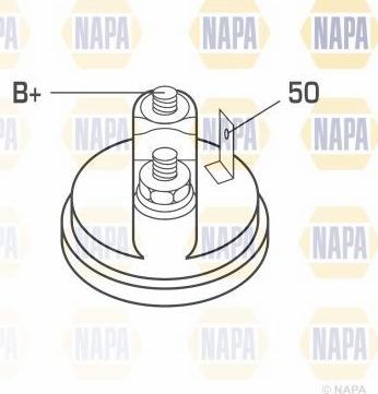 NAPA NSM1308 - Стартер unicars.by