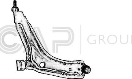 OCAP 0794023 - Рычаг подвески колеса unicars.by
