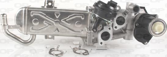 Open Parts EGR3035.00 - Клапан возврата ОГ unicars.by