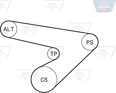 Optibelt 6 PK 1725KT2 - Поликлиновый ременный комплект unicars.by