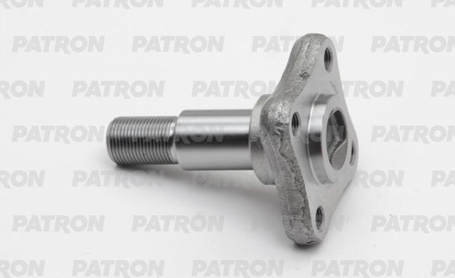 Patron PBK4539H - Поворотный кулак, подвеска колеса unicars.by