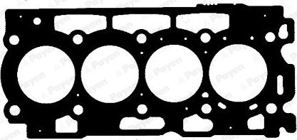 Payen AD5160 - Прокладка, головка цилиндра unicars.by