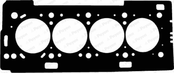 Payen AD5180 - Прокладка, головка цилиндра unicars.by