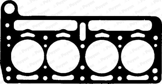 Payen AE600 - Прокладка, головка цилиндра unicars.by