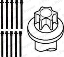 Payen HBS102 - Комплект болтов головки цилиндра unicars.by