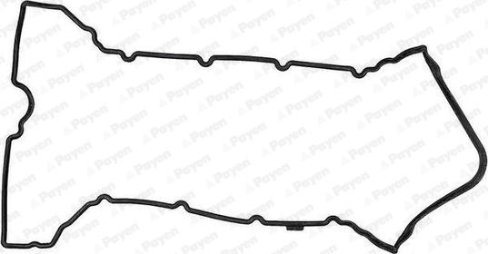Payen JM7027 - Прокладка, крышка головки цилиндра unicars.by