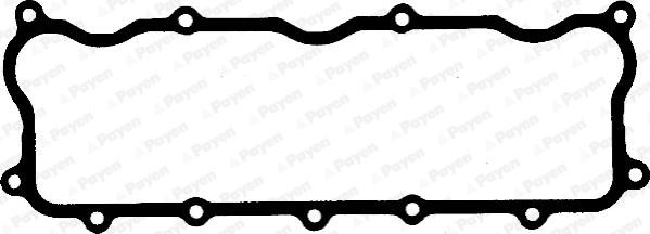 Payen JN745 - Прокладка, крышка головки цилиндра unicars.by