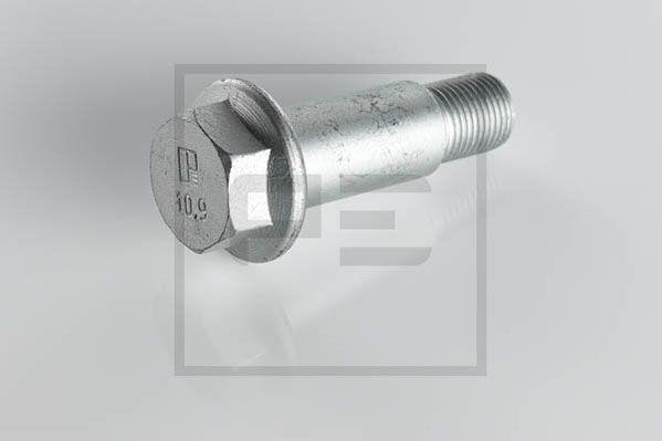 PE Automotive 016.187-00A - Болт, корпус скобы тормоза unicars.by