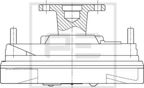 PE Automotive 010.347-00A - Сцепление, вентилятор радиатора unicars.by