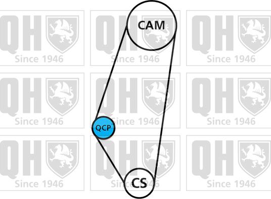 Quinton Hazell QBPK9049 - Водяной насос + комплект зубчатого ремня ГРМ unicars.by
