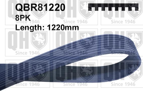 Quinton Hazell QBR81220 - Поликлиновой ремень unicars.by