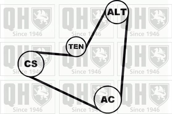 Quinton Hazell QDK41 - Поликлиновый ременный комплект unicars.by
