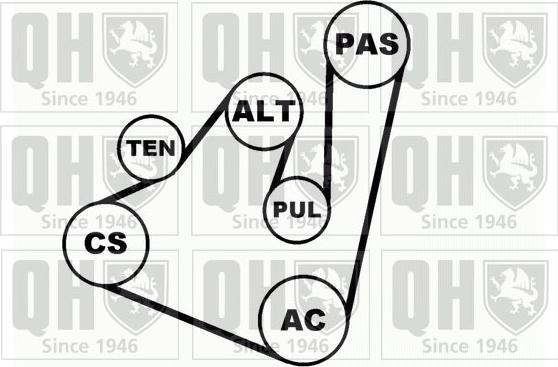 Quinton Hazell QDK42 - Поликлиновый ременный комплект unicars.by