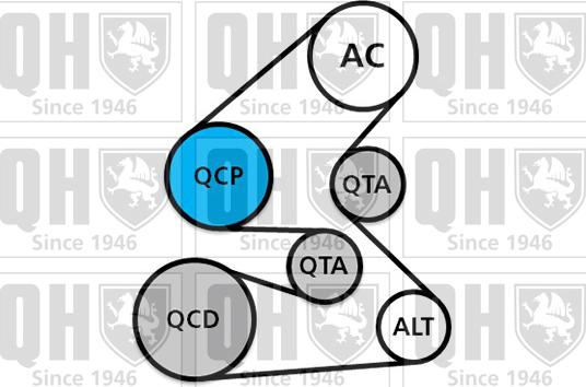 Quinton Hazell QDK145 - Поликлиновый ременный комплект unicars.by