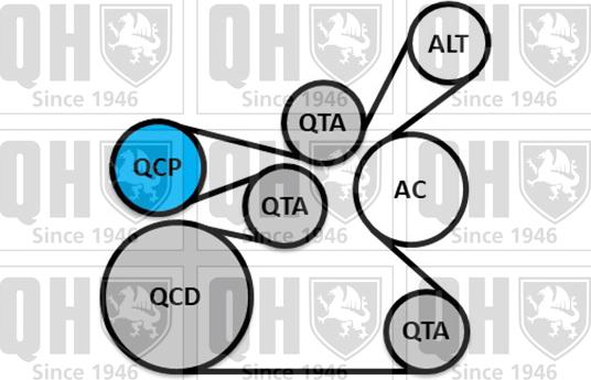 Quinton Hazell QDK148 - Поликлиновый ременный комплект unicars.by