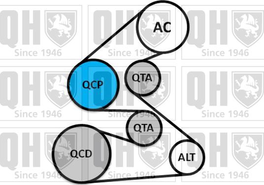 Quinton Hazell QDK152 - Поликлиновый ременный комплект unicars.by