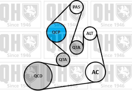 Quinton Hazell QDK165 - Поликлиновый ременный комплект unicars.by