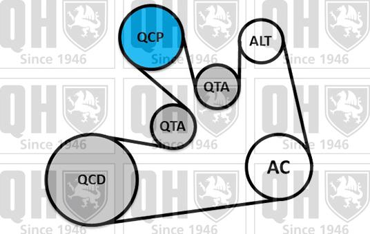 Quinton Hazell QDK185 - Поликлиновый ременный комплект unicars.by