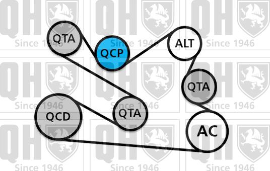 Quinton Hazell QDK136 - Поликлиновый ременный комплект unicars.by