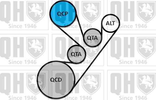Quinton Hazell QDK129 - Поликлиновый ременный комплект unicars.by