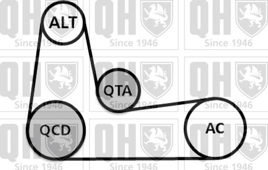 Quinton Hazell QDK89 - Поликлиновый ременный комплект unicars.by