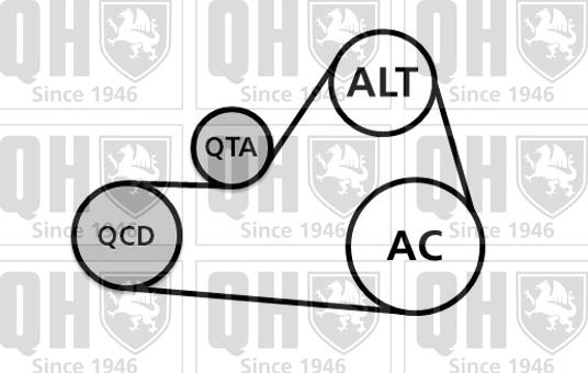 Quinton Hazell QDK87 - Поликлиновый ременный комплект unicars.by