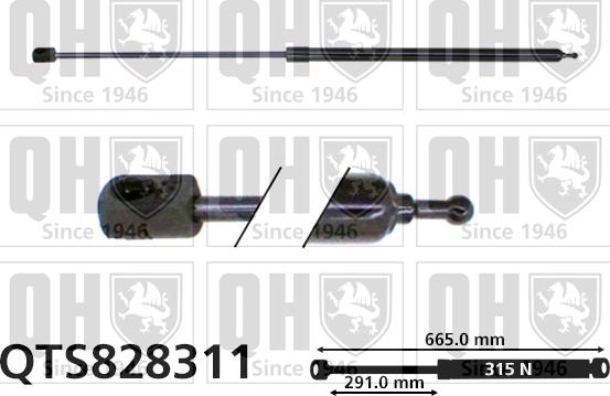 Quinton Hazell QTS828311 - Газовая пружина, капот unicars.by