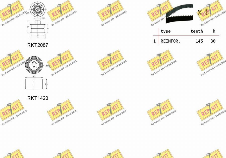 REPKIT RKTK1069 - Комплект зубчатого ремня ГРМ unicars.by