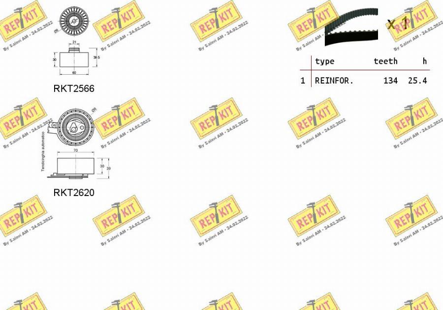 REPKIT RKTK1079 - Комплект зубчатого ремня ГРМ unicars.by