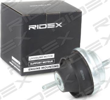 RIDEX 247E0099 - Подушка, опора, подвеска двигателя unicars.by