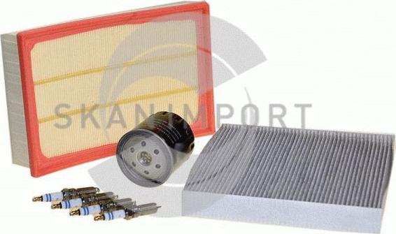 SKANIMPORT SK-V50-1 - Комплект фильтра unicars.by