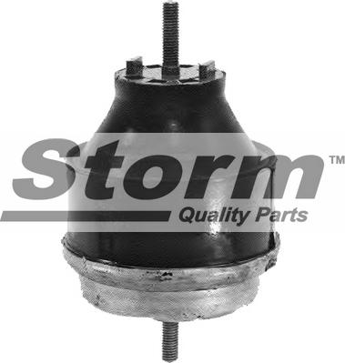 Storm F2520 - Подушка, опора, подвеска двигателя unicars.by