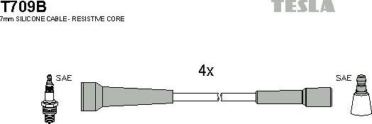 TESLA T709B - Комплект проводов зажигания unicars.by