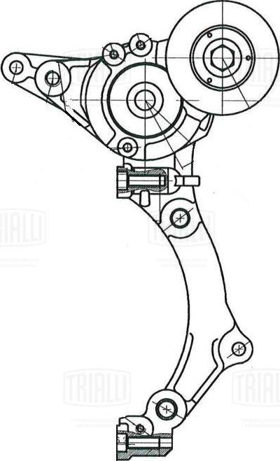 Trialli CM 5981 - Натяжитель, поликлиновый ремень unicars.by