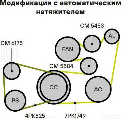 Trialli CM 5453 - Натяжитель, поликлиновый ремень unicars.by