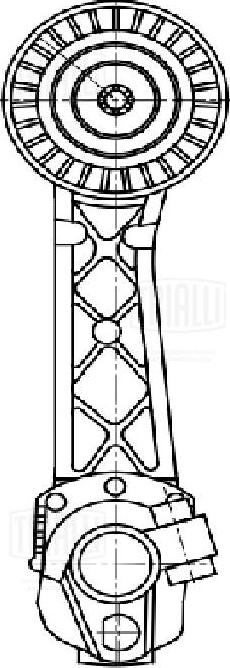 Trialli CM 5473 - Натяжитель, поликлиновый ремень unicars.by