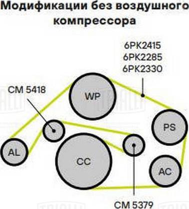Trialli CM 5379 - Натяжитель, поликлиновый ремень unicars.by