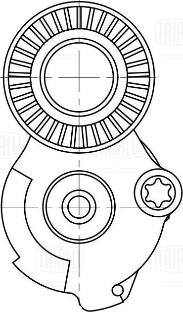 Trialli CM 5790 - Натяжитель, поликлиновый ремень unicars.by